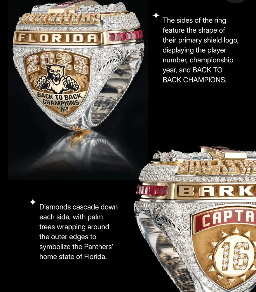 Чемпионские кольца "Флориды Пантерс" Чемпионские кольца "Флориды Пантерс" Геммология,Хоккей